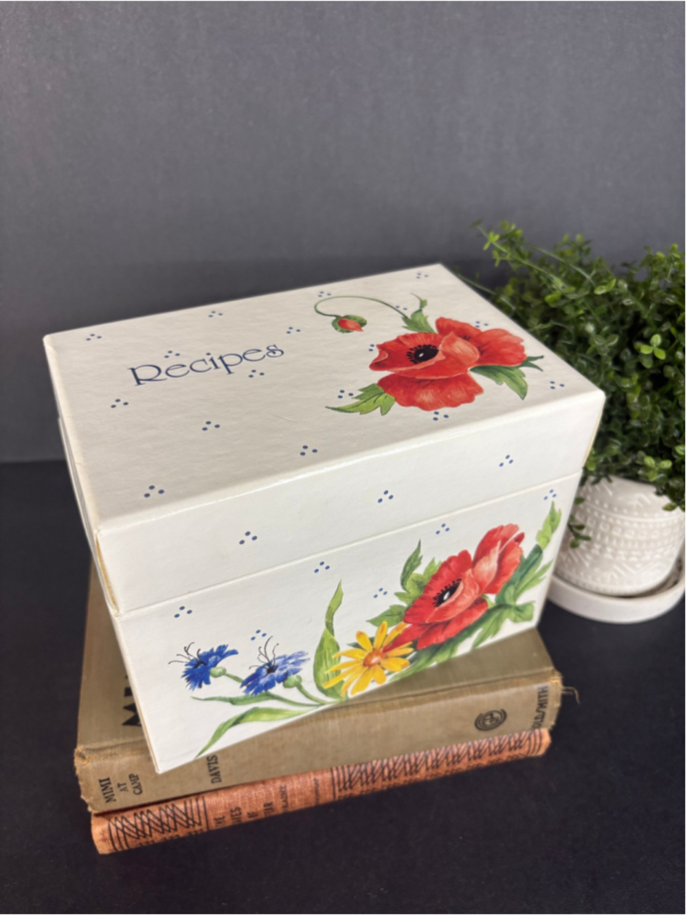 C.R. Gibson Floral Recipe Box White and Red Cards Nature Measurments